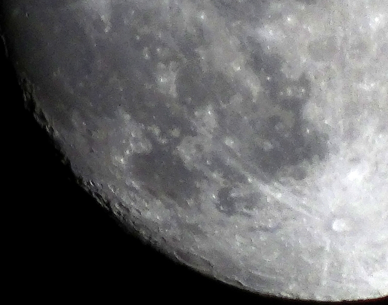 bijnavollemaan-detail