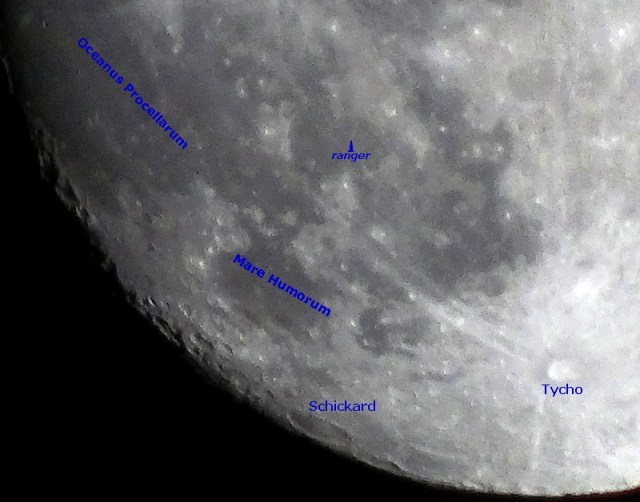 bijnavollemaan-detail+tekst