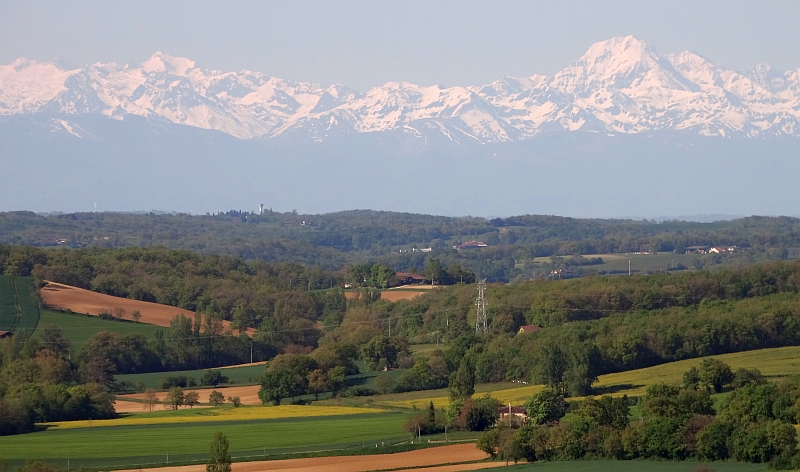 pyreneeen