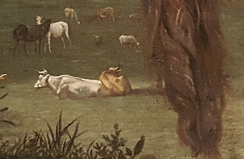 stier-landschap-detail2