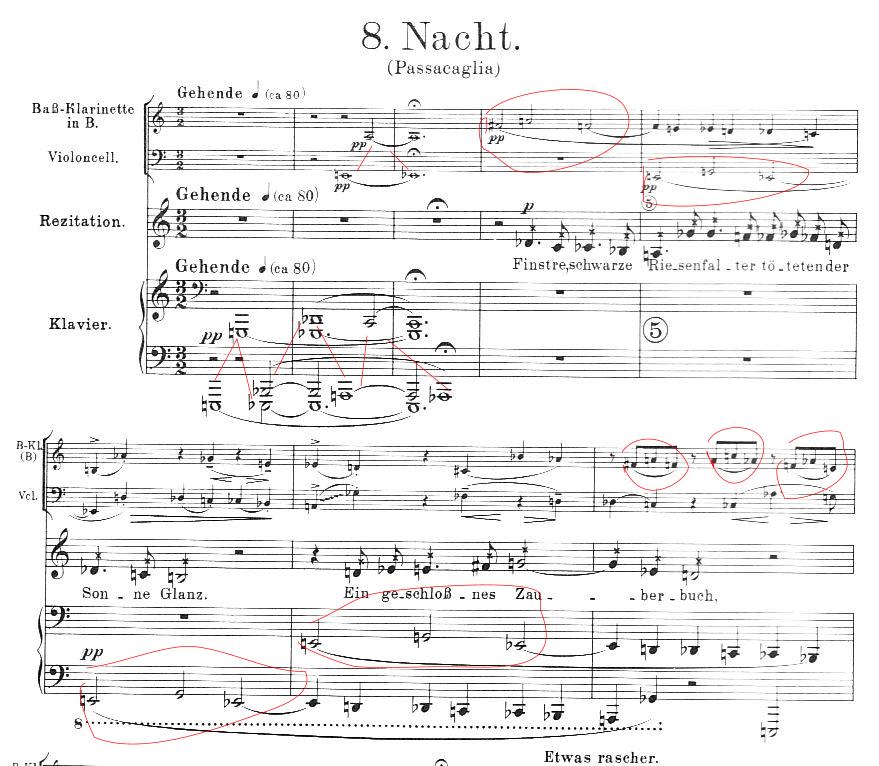 nacht-begin-kiemcellen2