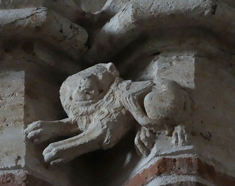 evangelist-leeuw
