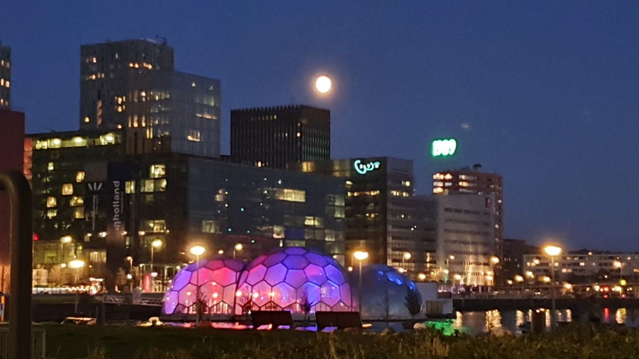 maan-rotterdam