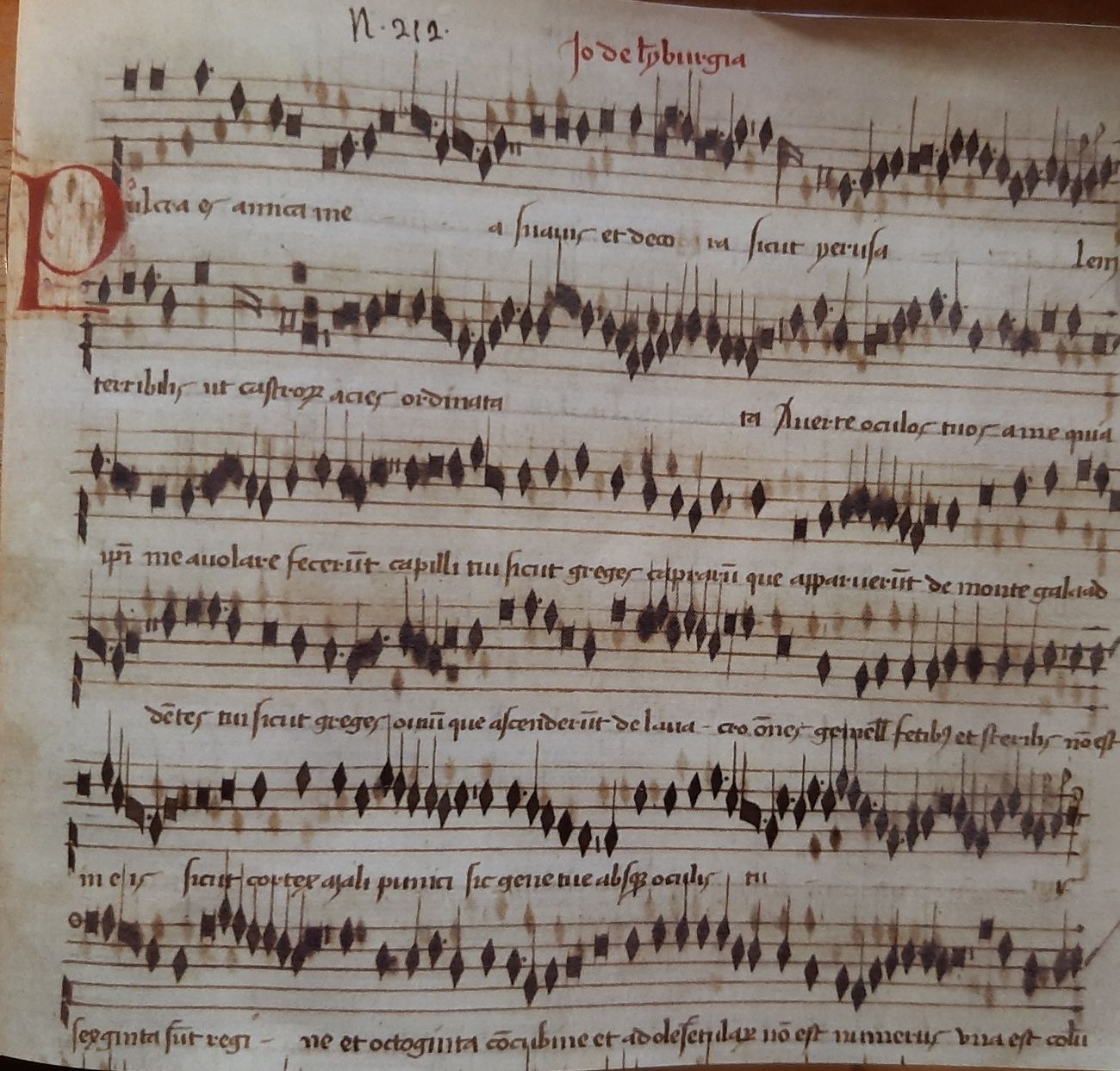 Lymburgia muziek